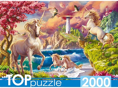 00-00035636