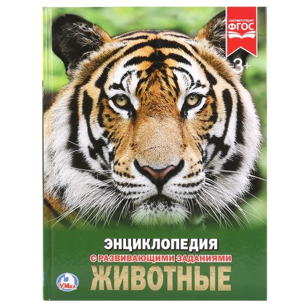 00-00031449