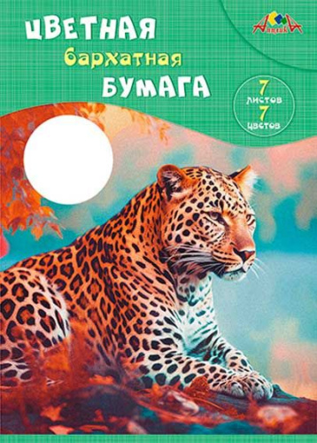 00-00041698