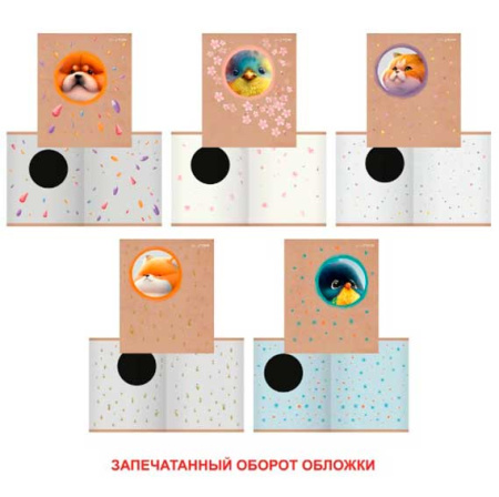 00-00029587