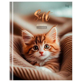 Дневник 1-4кл. BG тв.обл. "Мягкий" 64740 мат.лам.