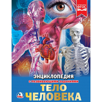 Энциклопедия А4 с развив.заданиями Тело человека 978-5-506-02168-1
