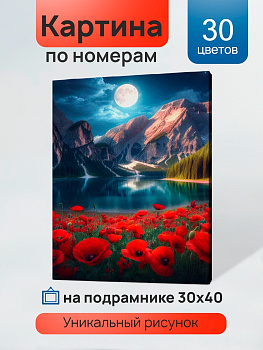 Холст с красками (30х40см) по номерам Красные маки в ночи (30цв) в/к ХК-5237