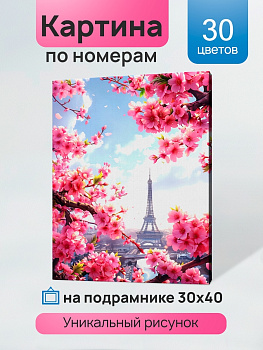 Холст с красками (30x40см) по номерам Париж в цветах (30цв) в/к Х-5200