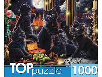 Пазлы (1000эл) Чёрные котята и светлячки Ф1000-3869