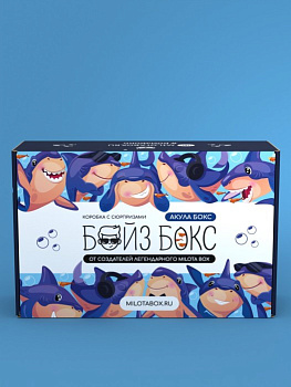 БойзБокс Коробка с сюрпризом Акула Бокс BB-0002