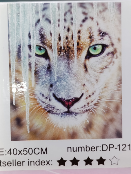 00-00053563