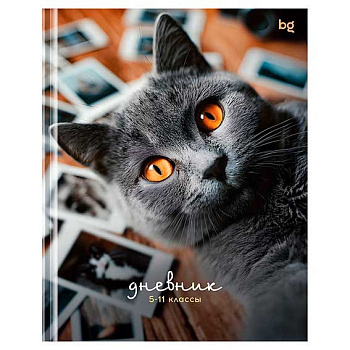 Дневник 5-11кл. BG тв.обл. "Барсик" 62133 глянц.лам.