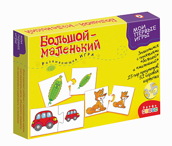 НПИ (карт) Большой-маленький 1101 (Дрофа-Медиа)
