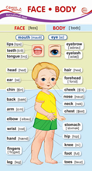 Карточка-шпаргалка Face-Body (Лицо-Тело) (110х205мм) ШМ-15168