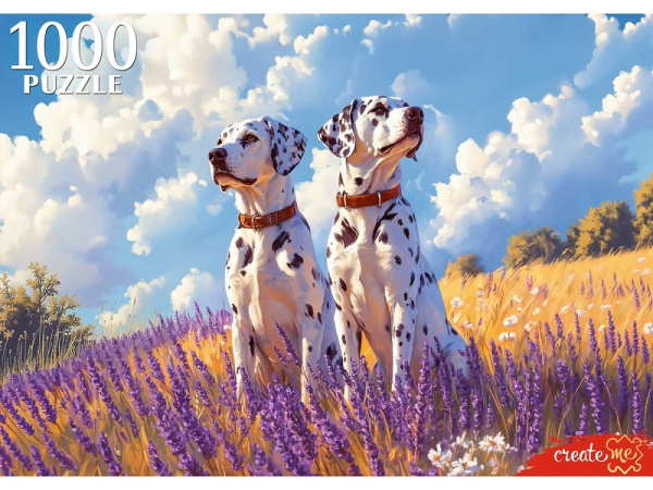 ЦБ-00059703