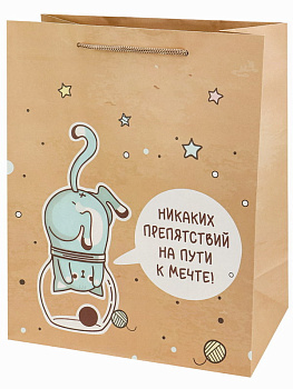 Пакет подар.крафт-бумага (26,4x32,7x13,6см) Мечта ППК-2771