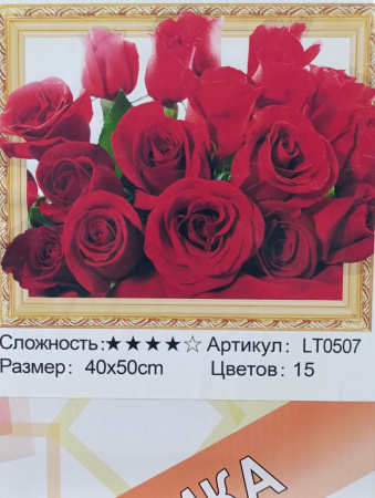 00-00053586