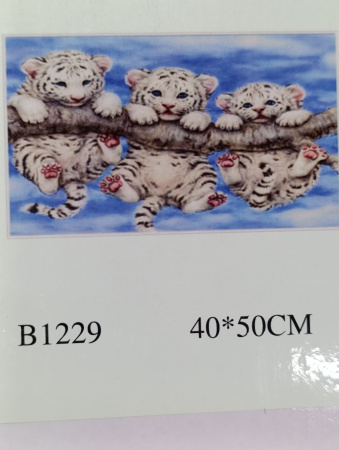 00-00053564