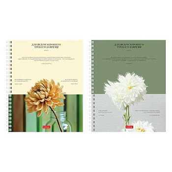 Тетрадь 96л. (линейка) ХАТ спираль "Наше время" лам.soft-touch,асс. 96Т5лВ2гр