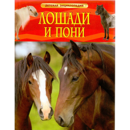 00-00026934