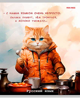 Тетрадь предм. 48л. Проф-Пресс "Жил-был кот-Русский язык" Т48-1452 (линейка)