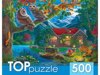 Пазлы (500эл) Ночной пейзаж и совы  TOPpuzzle Ф500-6620